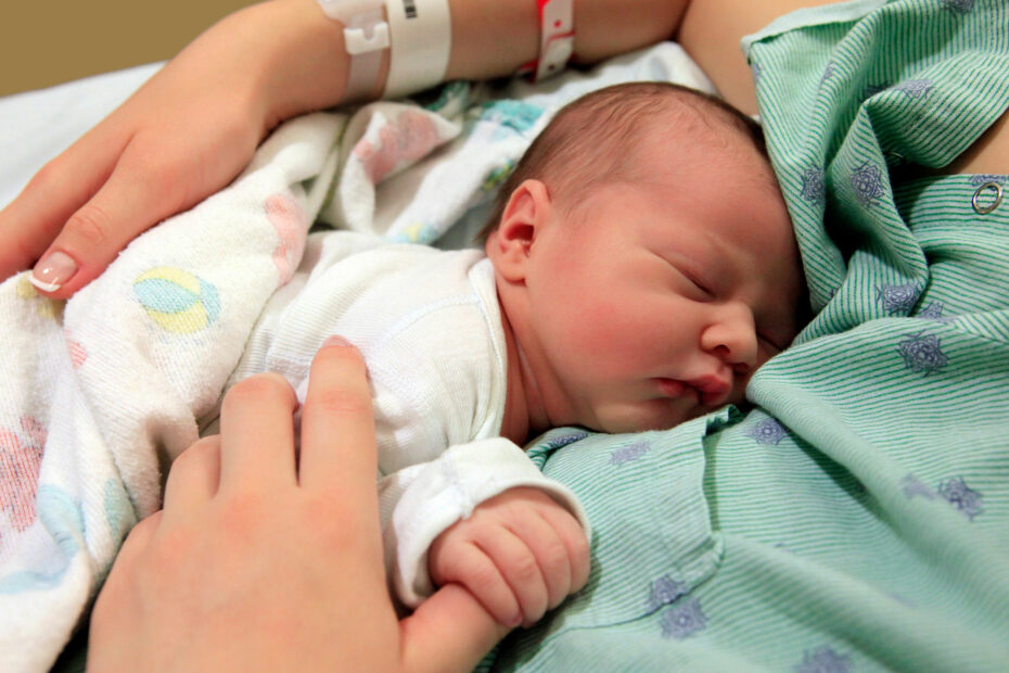 Foto: Tatiana Morozova/stockAdobe.com