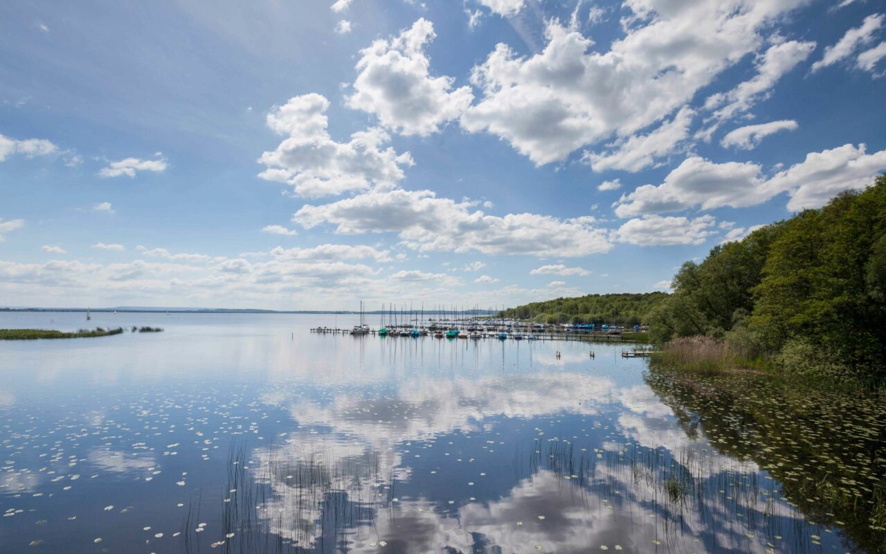 Naturpark Steinhuder Meer